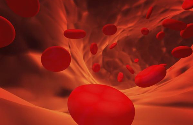 NEW! International Thalassaemia Day 2026