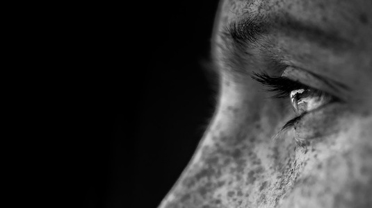 banner 1.jpg