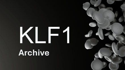KLF1.jpg