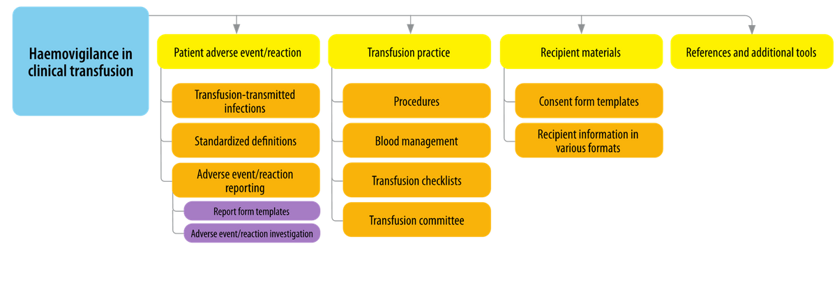 Haemovigilance in the clinic graphic.png