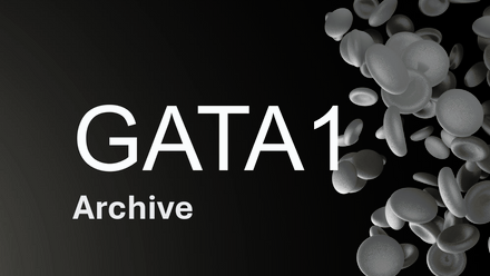GATA1.jpg