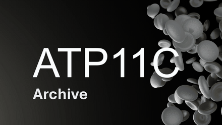 ATP11C 046.jpg
